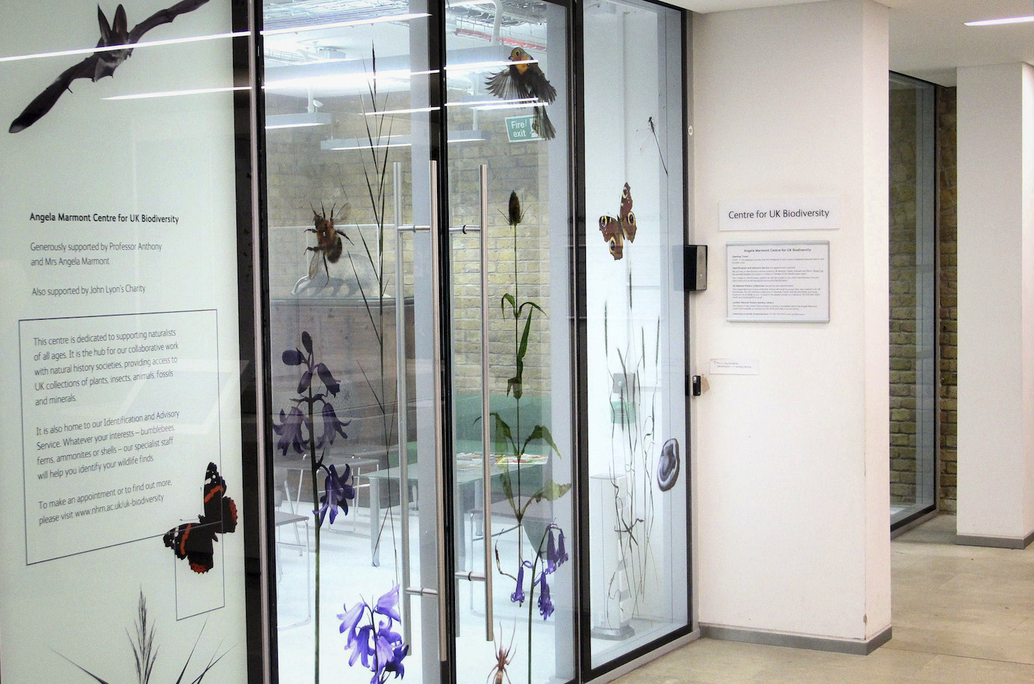 A entrada para o Centro Angela Marmont, no Museu de História Natural de Londres