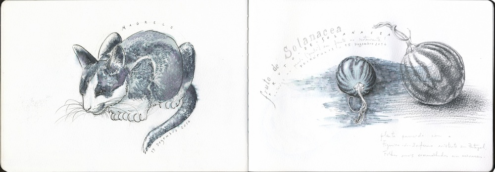 Desenho com caneta de feltro aguarelável, seguido de uma passagem com pincel de água, diluindo os traços previamente desenhados