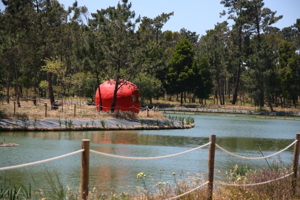 Vista parcial do Parque Ambiental do Buçaquinho. Foto: Câmara Municipal de Ovar