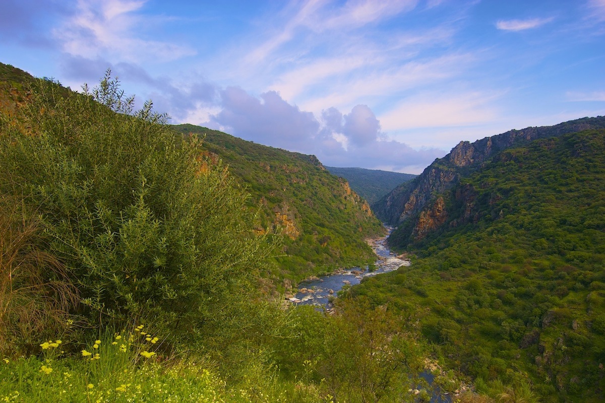 Rio Águeda numa das regiões mais selvagens de Portugal. Parque Natural do Douro Internacional, Primavera.