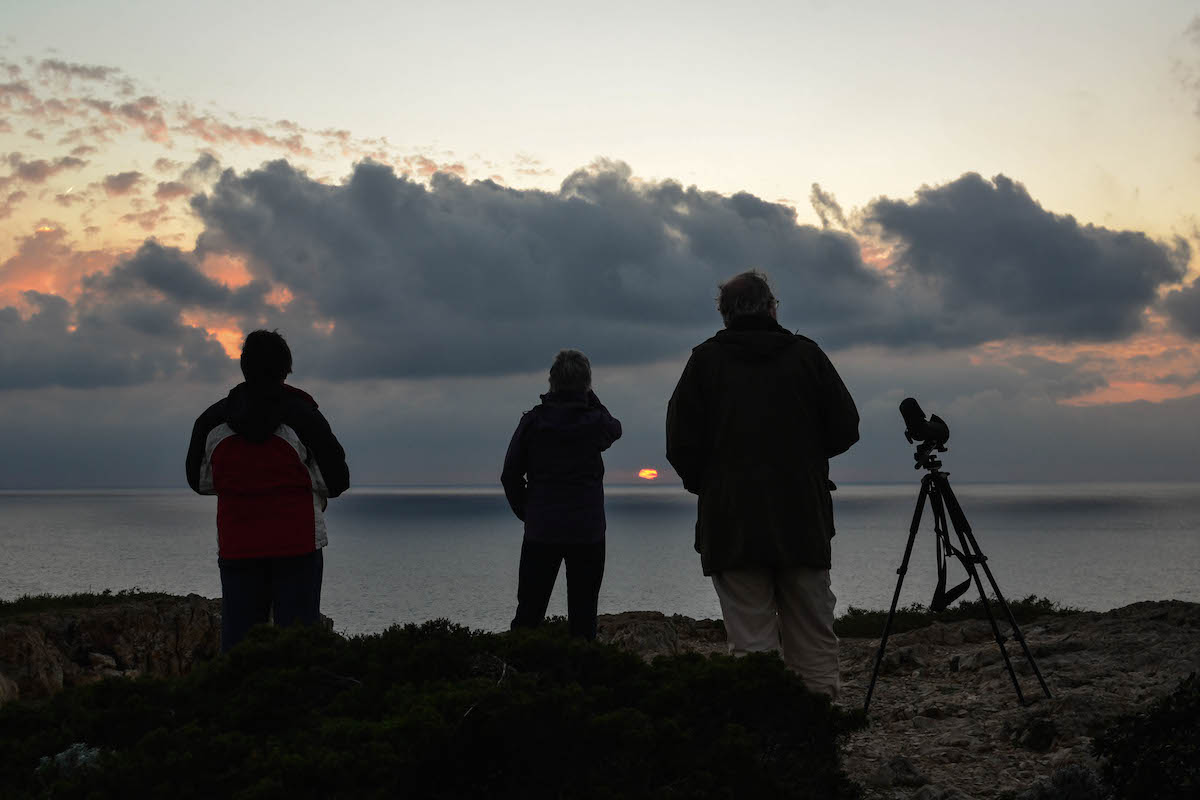 Pôr-do-sol de Outono no Cabo S. Vicente, depois de um dia de observação de aves. Foto: Nuno Barros