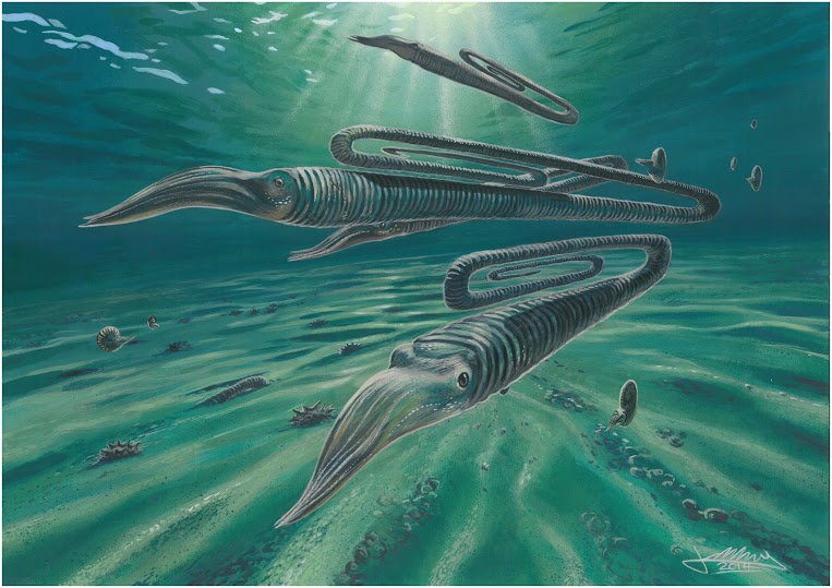 Recriação de exemplares de Diplomoceras. Ilustração: James McKay