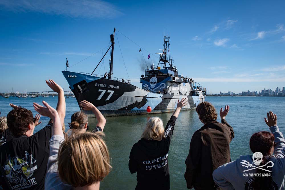 Partida do Steve Irwin. Foto: Sea Shepherd Global/Nelli Huié