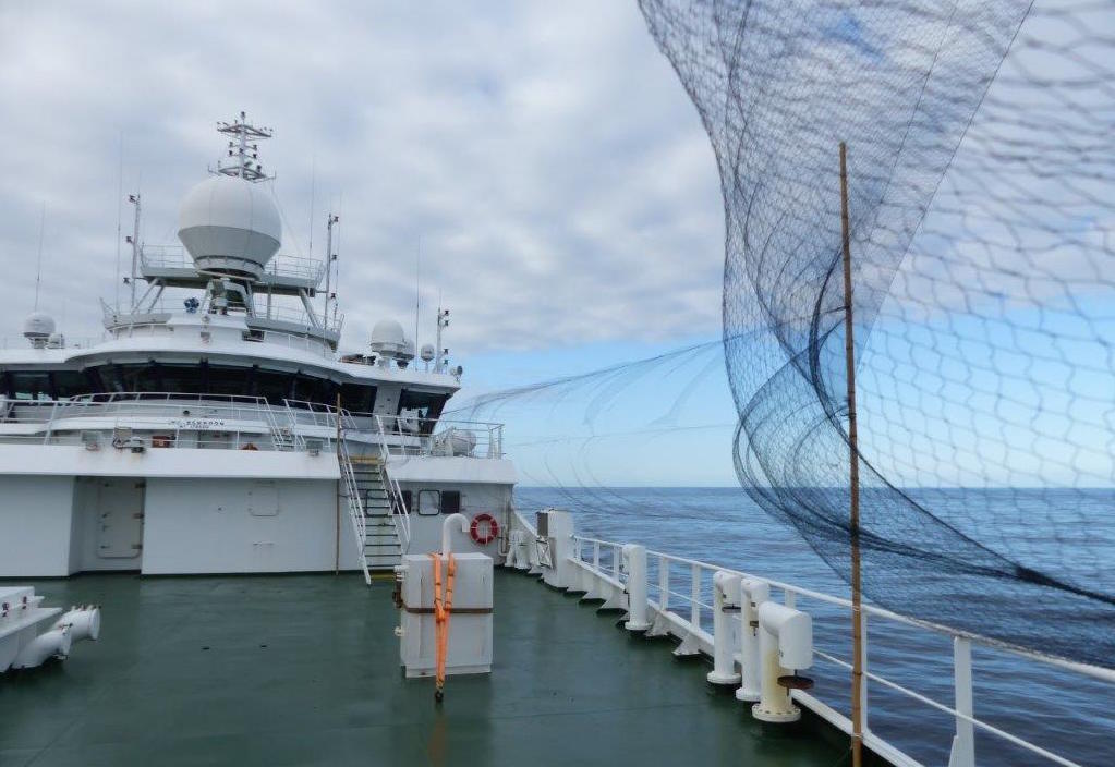 Redes verticais montadas no navio para capturar pequenas aves marinhas no meio do Atlântico profundo. Foto: Paulo Catry