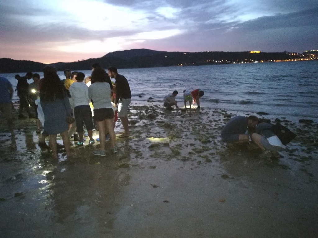 Um-grupo-de-pessoas-de-costas-na-beira-do-mar-alumiado-por-uma-luz-ao-início-da-noite