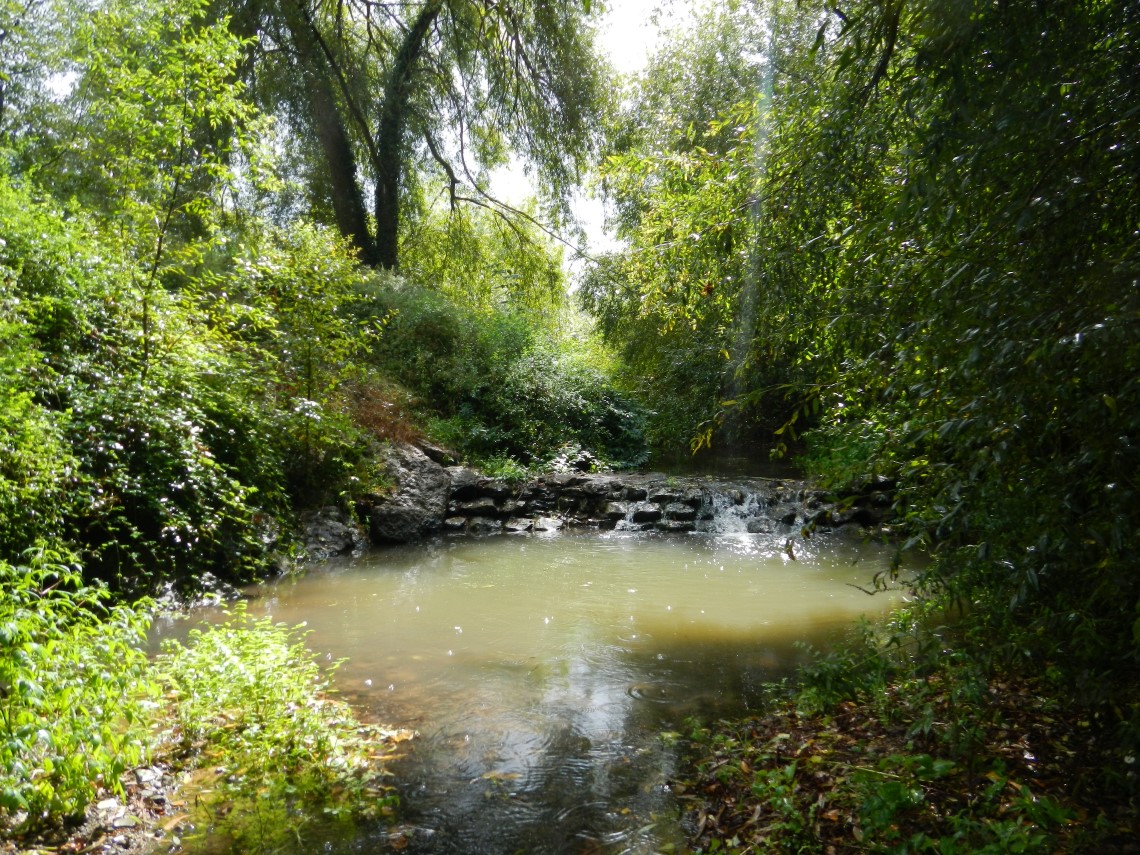 Um troço do rio Alcabrichel