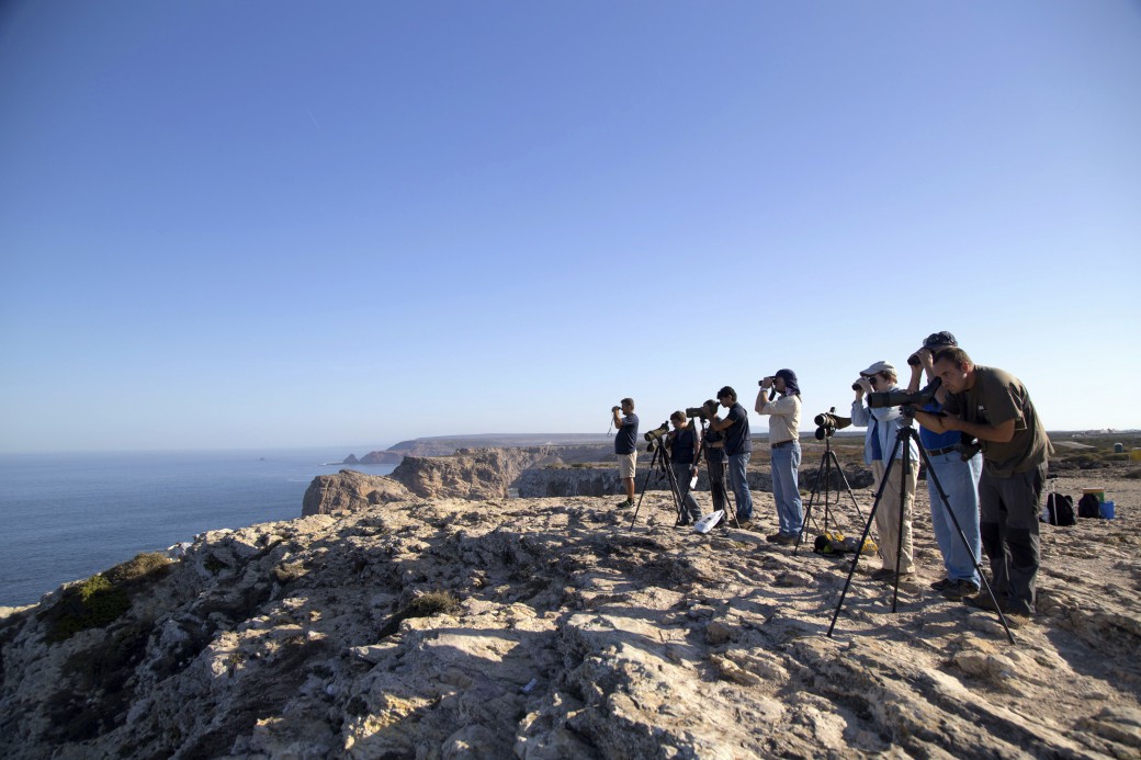 Um grupo de pessoas espreita para o horizonte com binóculos e telescópios