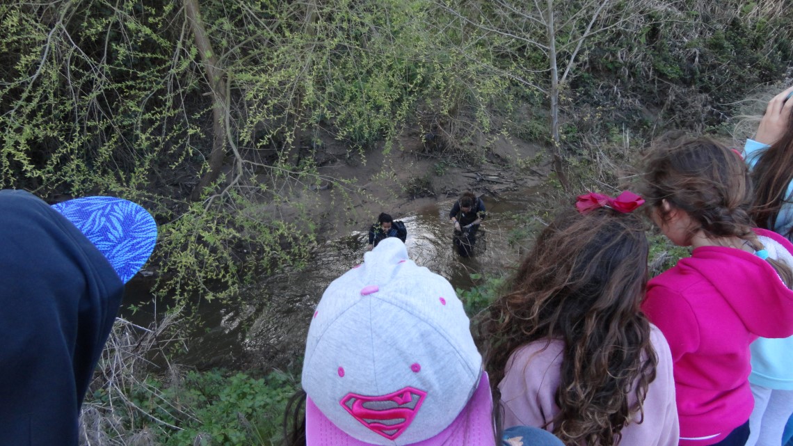 alunos de costas olham para um rio onde decorre uma acção de monitorização